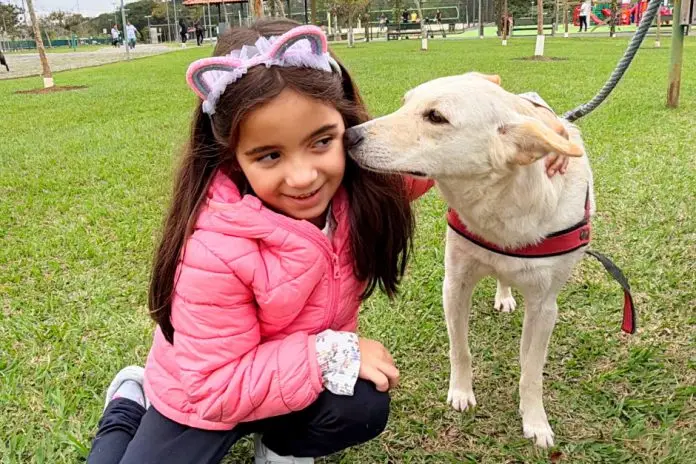 Feira de adoção | Pets | Jardim Aquarius Feira de adoção | Pets | Jardim Aquarius