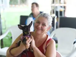 São José abrirá mil vagas para castração gratuita de cães e gatos nesta terça (11) Castração Prefeitura SJC