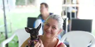 São José abrirá mil vagas para castração gratuita de cães e gatos nesta terça (11) Castração Prefeitura SJC
