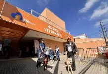 Hospital Veterinário inicia primeiros atendimentos nesta segunda (10) com vacinação e microchipagem gratuitas Hospital veterinário