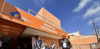 Hospital Veterinário inicia primeiros atendimentos nesta segunda (10) com vacinação e microchipagem gratuitas Hospital veterinário