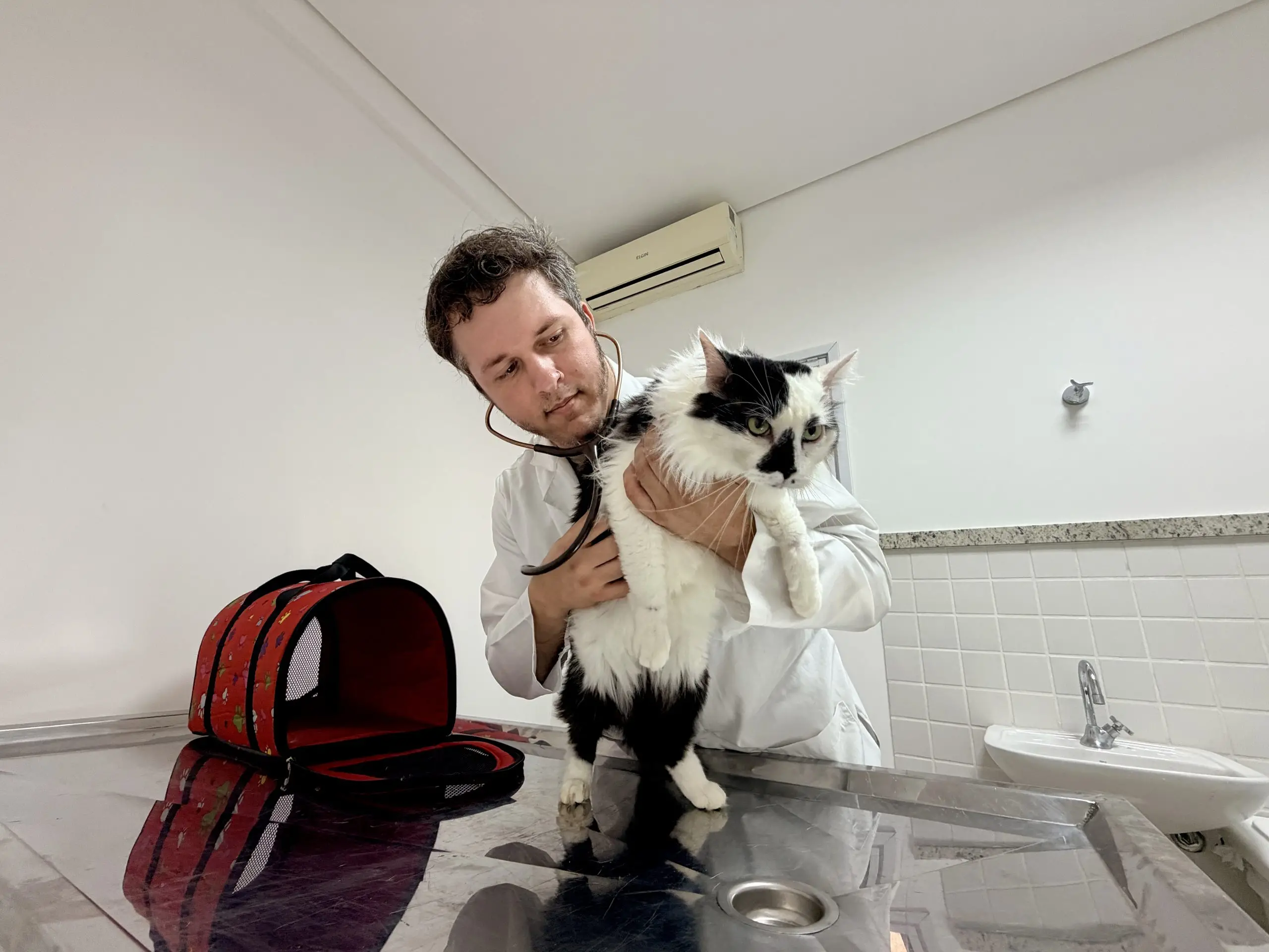 Hospital veterinário