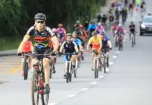 Trip Bike | Urbanova
