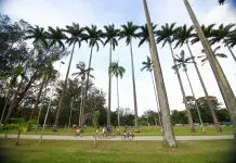 Parque da Cidade