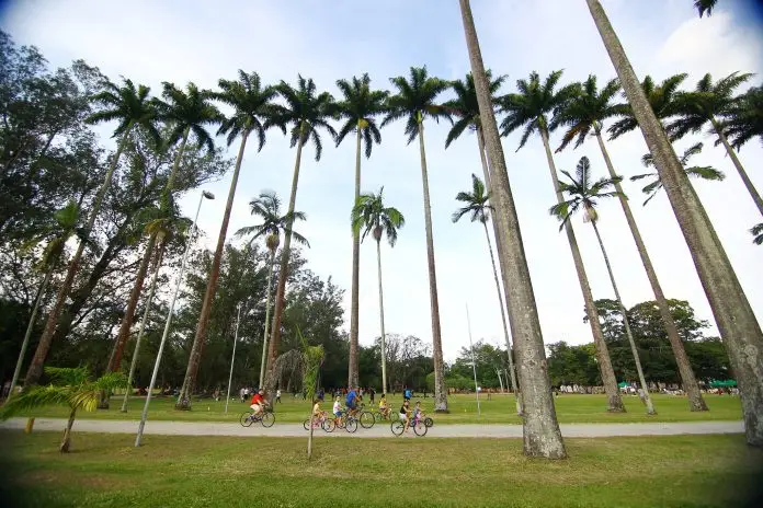 Parque da Cidade