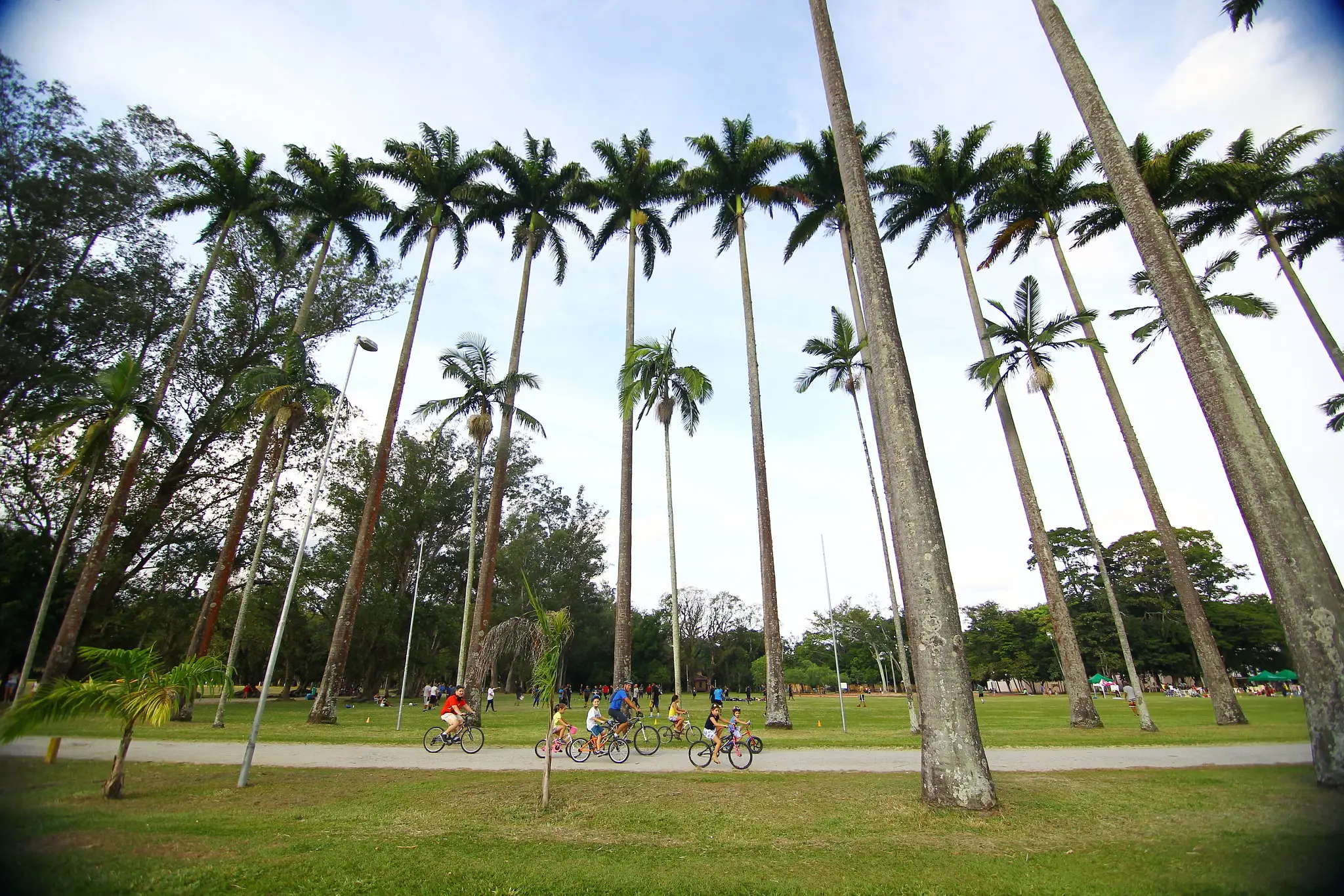 Parque da Cidade Parque da Cidade