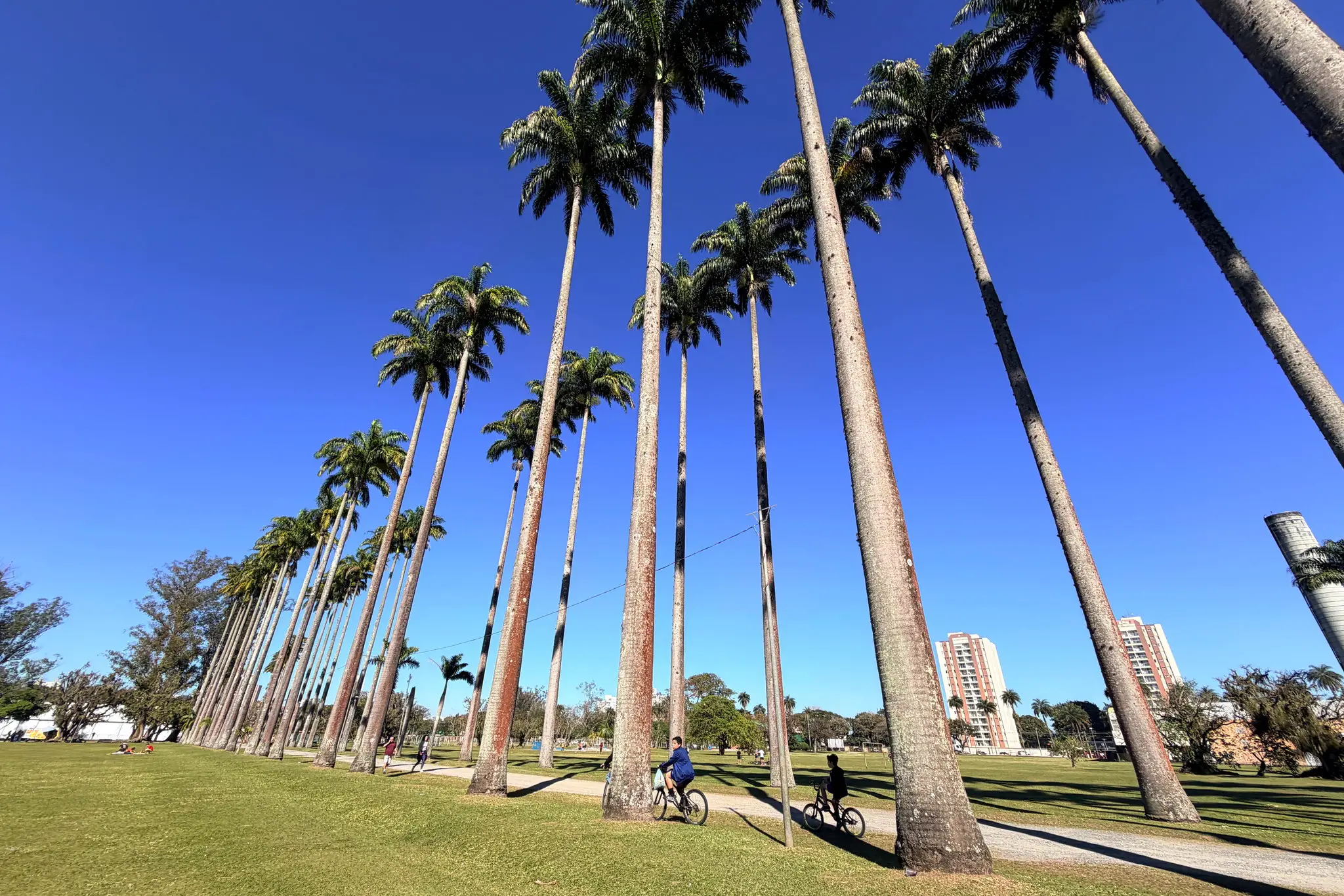 Parque da Cidade Parque da Cidade