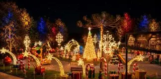 Campos do Jordão prepara Natal com 16 km de luzes, árvore de 20 metros e espetáculos inéditos Natal | Campos do Jordão
