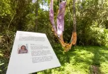 Museu a céu aberto