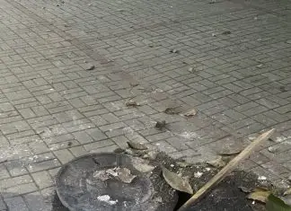 Bueiro danificado há quase uma semana preocupa pedestres no Urbanova; moradores cobram reparo