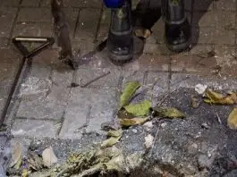 Livo no Esgoto Urbanova