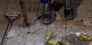 Livo no Esgoto Urbanova