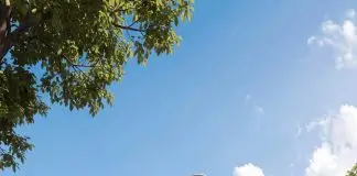Martim, primeiro prédio comercial do Parque Una, terá salas de até 88 m² e estrutura para reuniões Martim | Parque Una