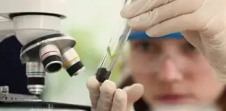 Mulheres na ciência