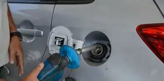 Gasolina