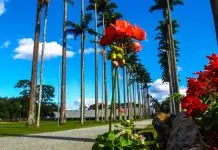 PRIMAVERA - FOTO: CLAUDIO VIEIRA. DATA: 21-09-2016 SJC-SP.