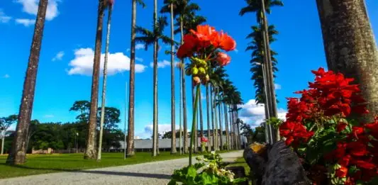 Primavera começa nesta terça (22); El Niño muito forte marca a estação PRIMAVERA - FOTO: CLAUDIO VIEIRA. DATA: 21-09-2016 SJC-SP.