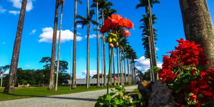 PRIMAVERA - FOTO: CLAUDIO VIEIRA. DATA: 21-09-2016 SJC-SP. PRIMAVERA - FOTO: CLAUDIO VIEIRA. DATA: 21-09-2016 SJC-SP.