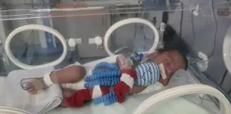 UTI neonatal de São José recebe 65 polvinhos de crochê feitos por voluntárias Polvo UTI neonatal SJC