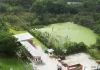 Vegetação em lagoa no Urbanova preocupa moradores; Sabesp afirma que local está inativo