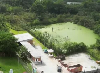 Vegetação em lagoa no Urbanova preocupa moradores; Sabesp afirma que local está inativo