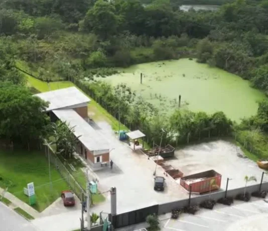 Vegetação em lagoa no Urbanova preocupa moradores; Sabesp afirma que local está inativo