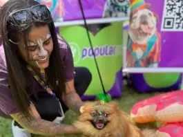 Encãotrinho terá programação gratuita neste sábado (17) com atrações infantis, show de cães treinados e feira de adoção no Jardim Esplanada Encãotrinho