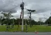 EDP retira postes da Praça Fukuoka para nova configuração da rotatória EDP retira postes da Praça Fukuoka