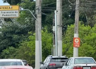 Ponte Flamínio Vaz