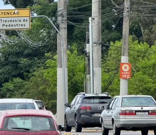 Ponte Flamínio Vaz
