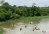Procissão fluvial com até 30 barcos e missas marcarão Dia de Nossa Senhora Aparecida no Urbanova Procissão Fluvial
