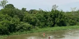 Procissão fluvial com até 30 barcos e missas marcarão Dia de Nossa Senhora Aparecida no Urbanova Procissão Fluvial