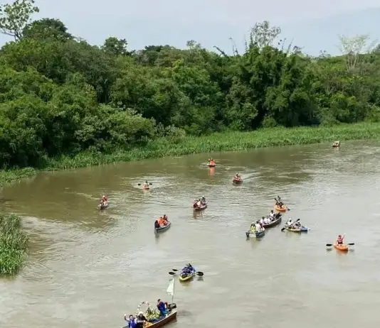 Procissão Fluvial