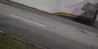 Tatu é flagrado na Possidônio José de Freitas; saiba o que fazer ao ver um animal na pista