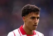 Vitor Reis