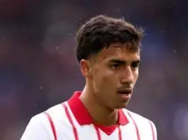 Vitor Reis