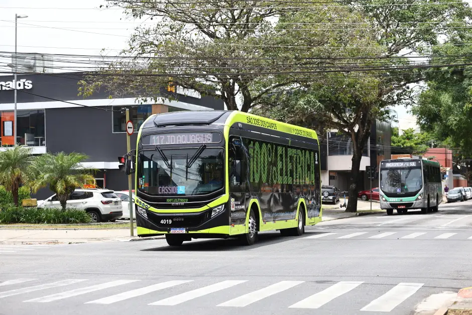 ônibus ônibus