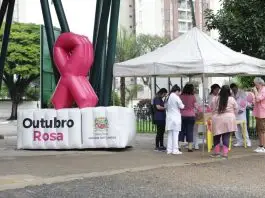 Parque da Cidade terá ação gratuita do Outubro Rosa neste domingo (18), com ações de saúde e bem-estar