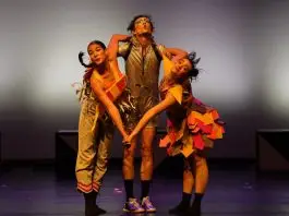 Cia. de Dança